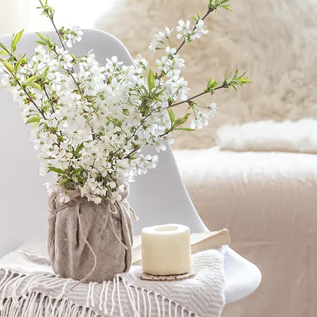 Boho Bliss